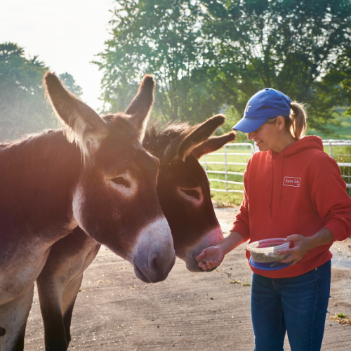 Soutenez le programme de la ferme
